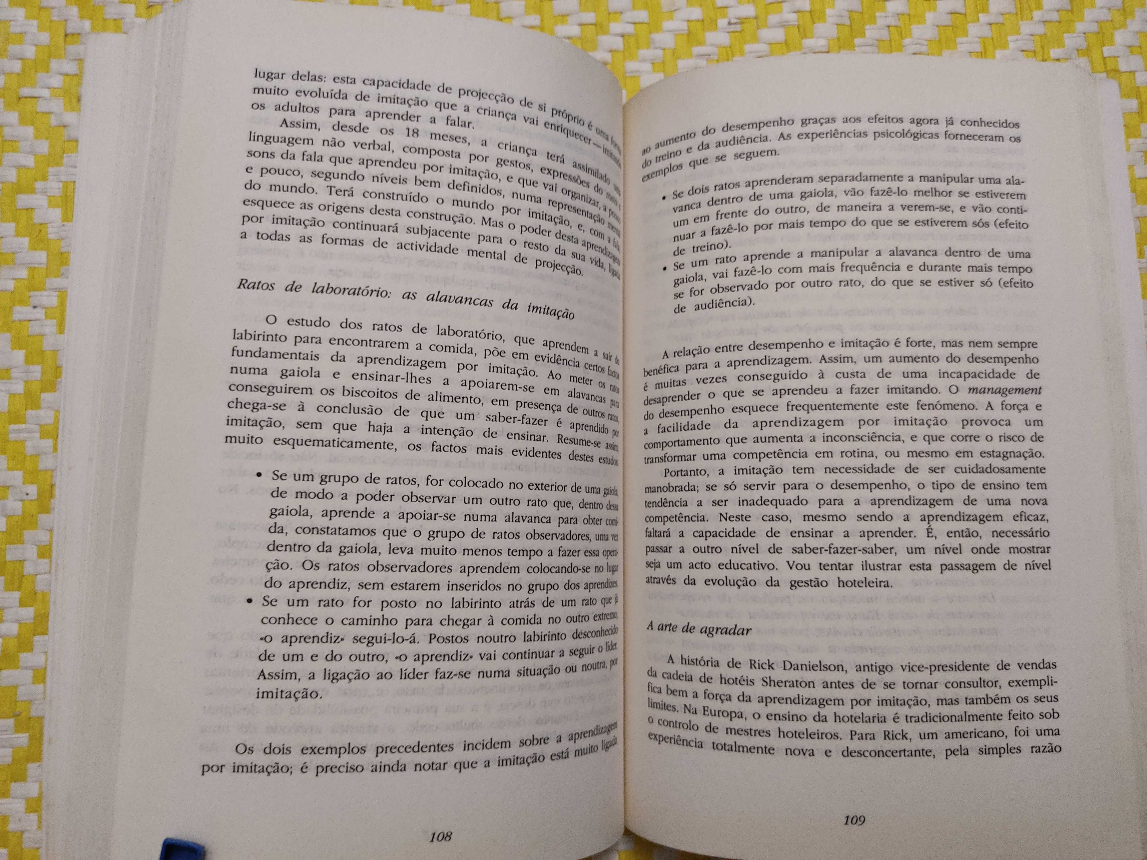 Saber-Fazer Saber a aprendizagem da acção na Empresa