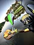 Spinning Black Cat Light Spin 280cm Slammer IV