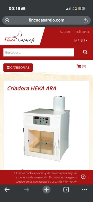 Maternidade inca lori 10