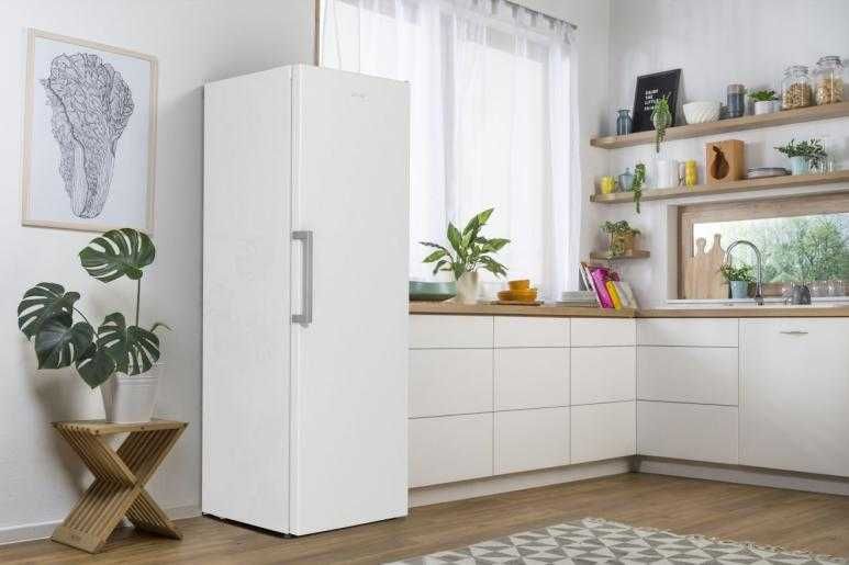 Chłodziarka Gorenje R619EEW5 jednodrzwiowa 185cm Dostępna od Ręki 398L