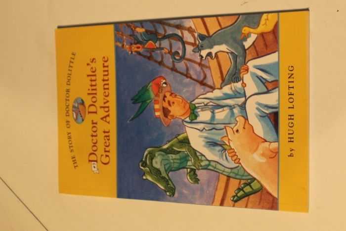 Livros em Inglês - vários