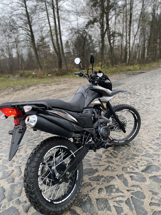 Продам лонкин прус