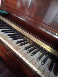 Piano Pleyel antigo