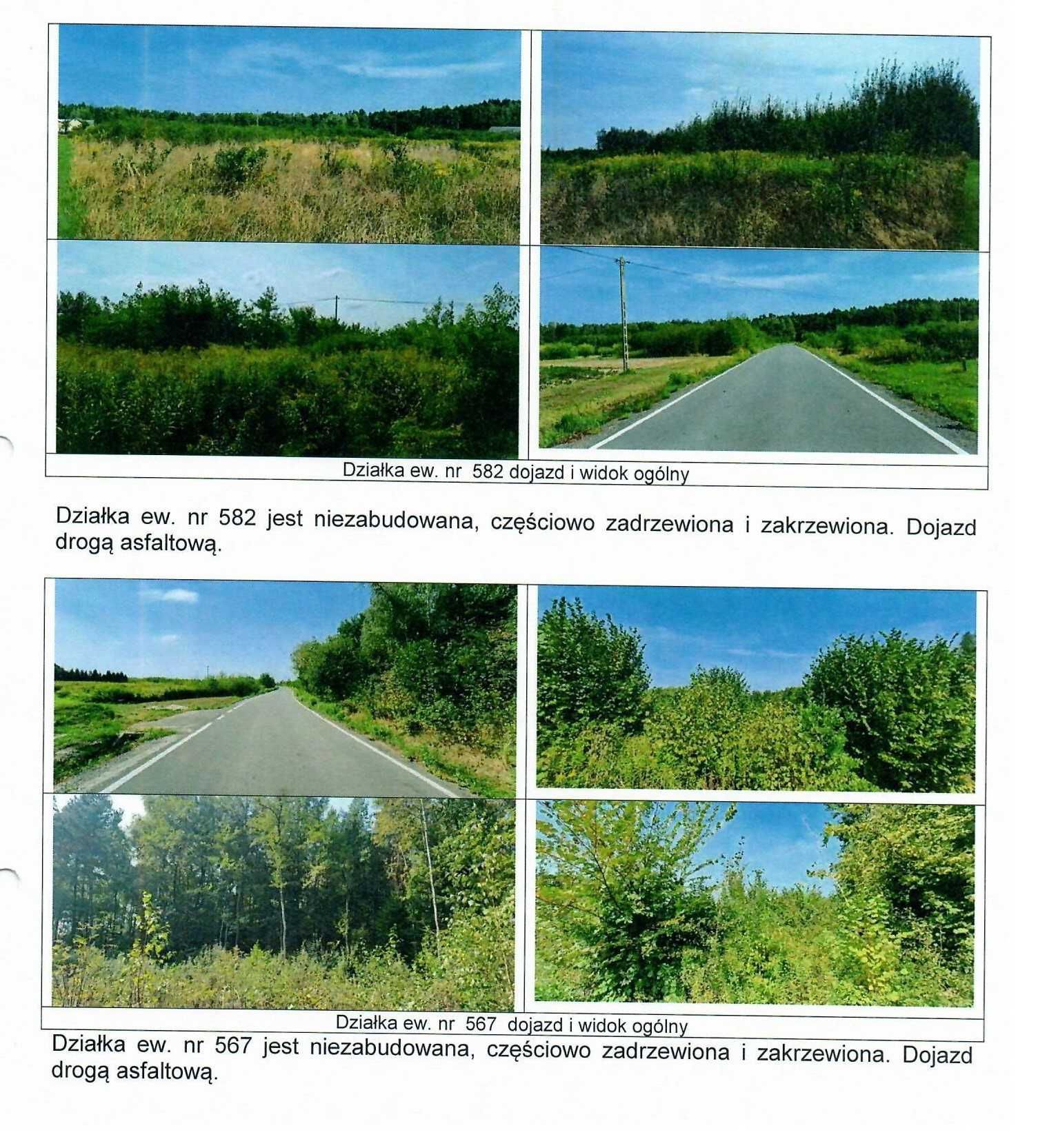 KAMIONKA LAS 8,84 HA [udział wielkości 14/120]