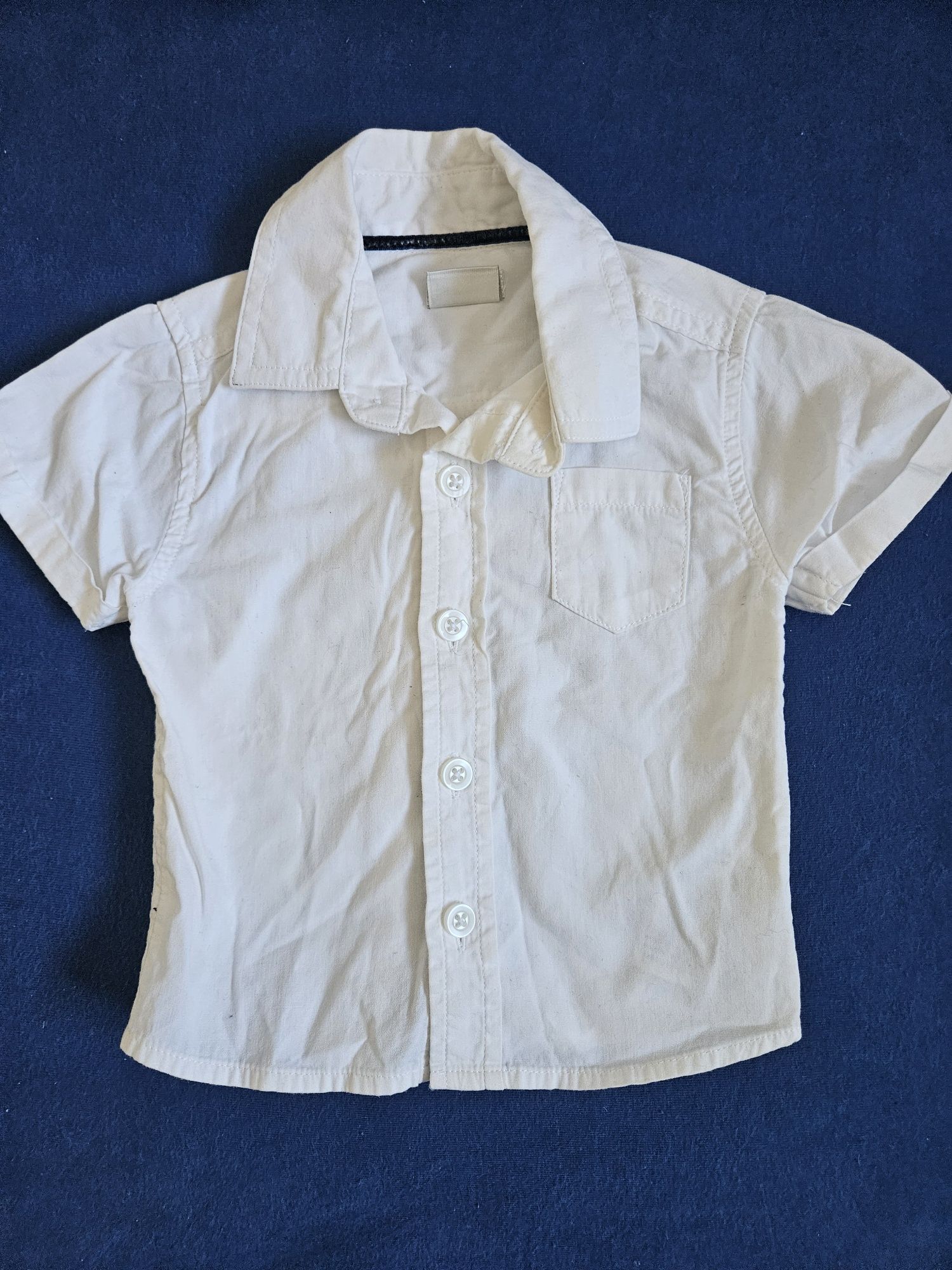 Zestaw Ecco Boy 62 / 68 płaszcz spodnie koszula
