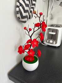 Цветок в горшке комнатный растение бонсай Квітка
