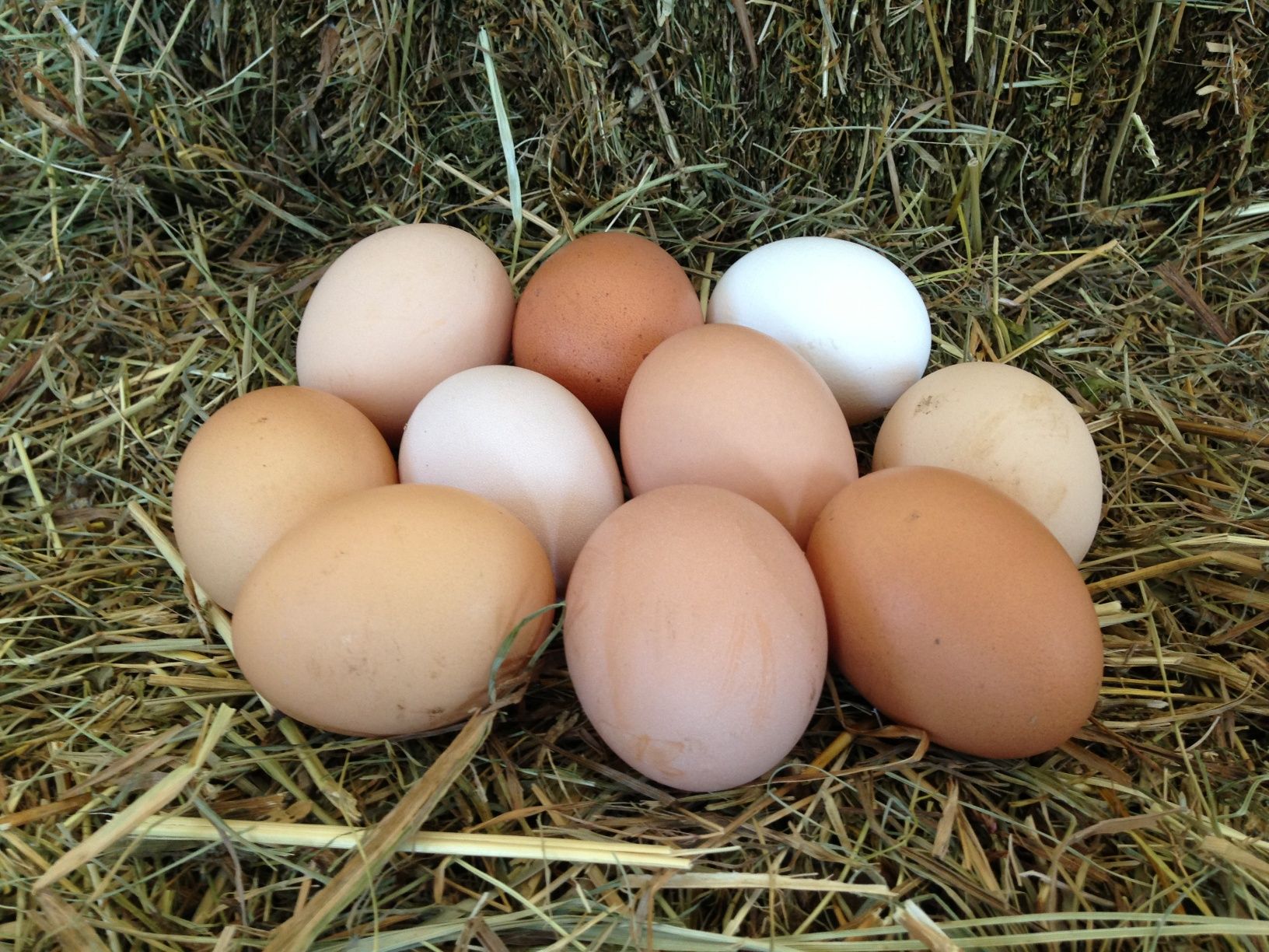 Яйцо домашнее крупное свежее