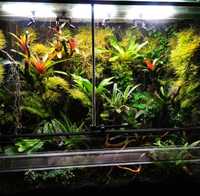 Lampa do uprawy roślin terrarium wiwarium 18W fulspectrum PRO