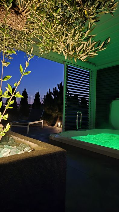 Luksusowe domki nad morzem sauna jacuzzi bilard małpi gaj