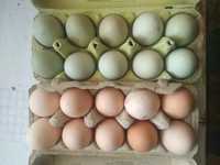 Wiejskie jajka zielone konsubcyino bardzo zdrowe