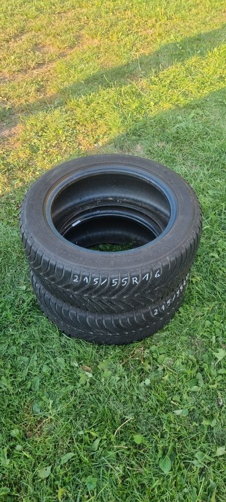 Opony wielosezonowe Goodyear 215/55R16