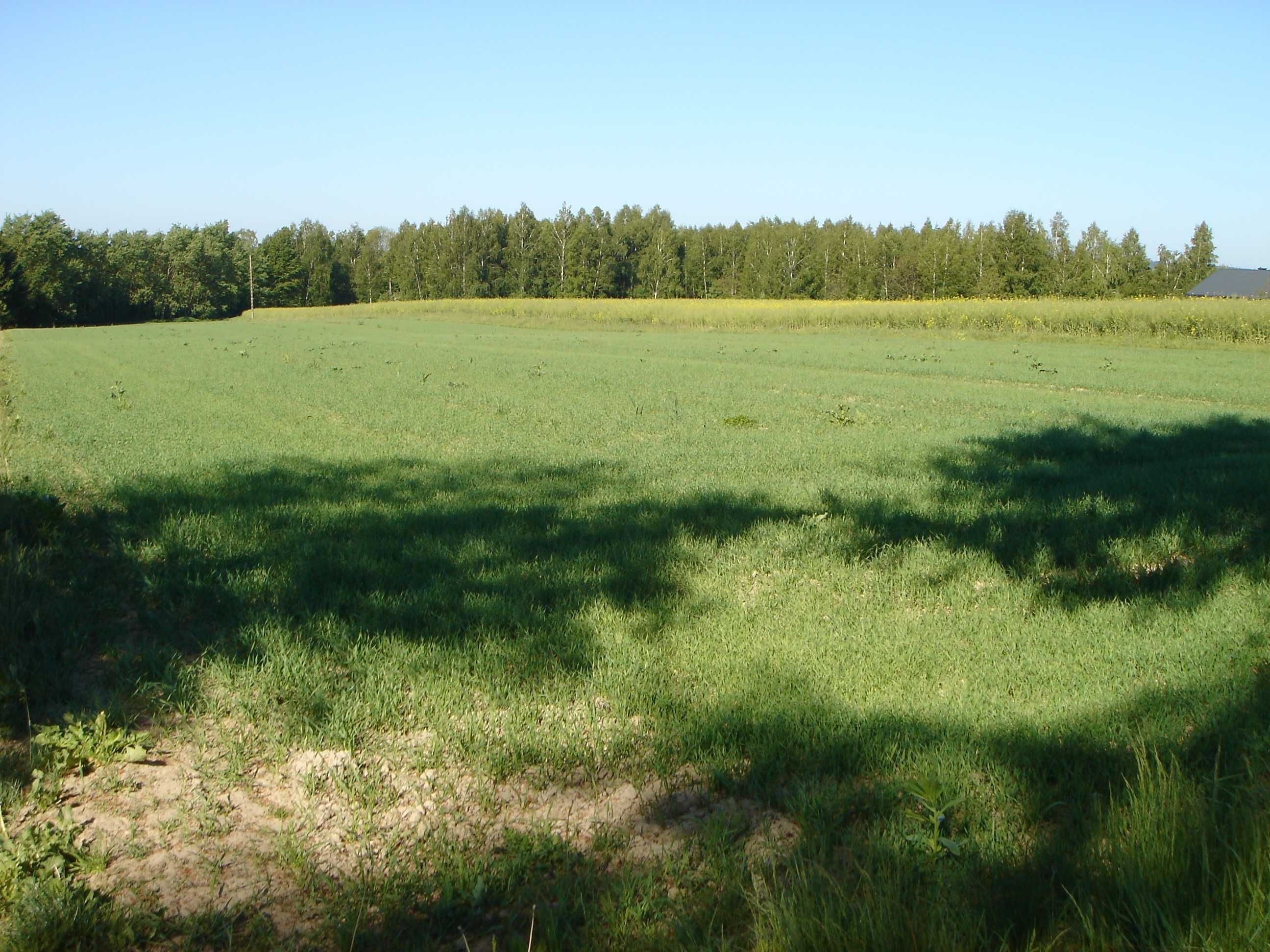 Działka Żabia Wola