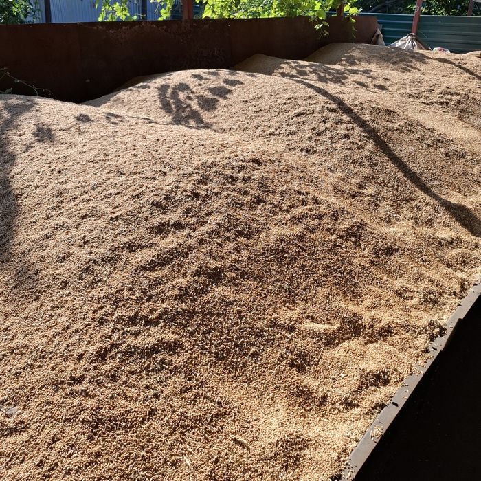 Продам  пшеницу 6 тонн.