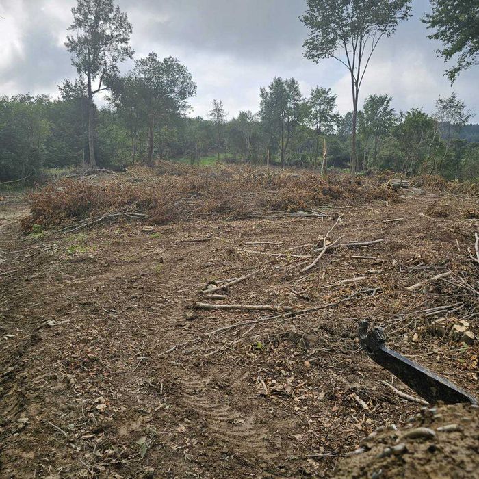 Mulczowanie karczowanie wycinka samosie teren podfarmy fotowoltaiczne