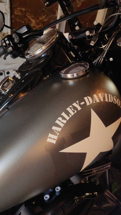 Harley Softail Slim S 110 Green Denim Nacional