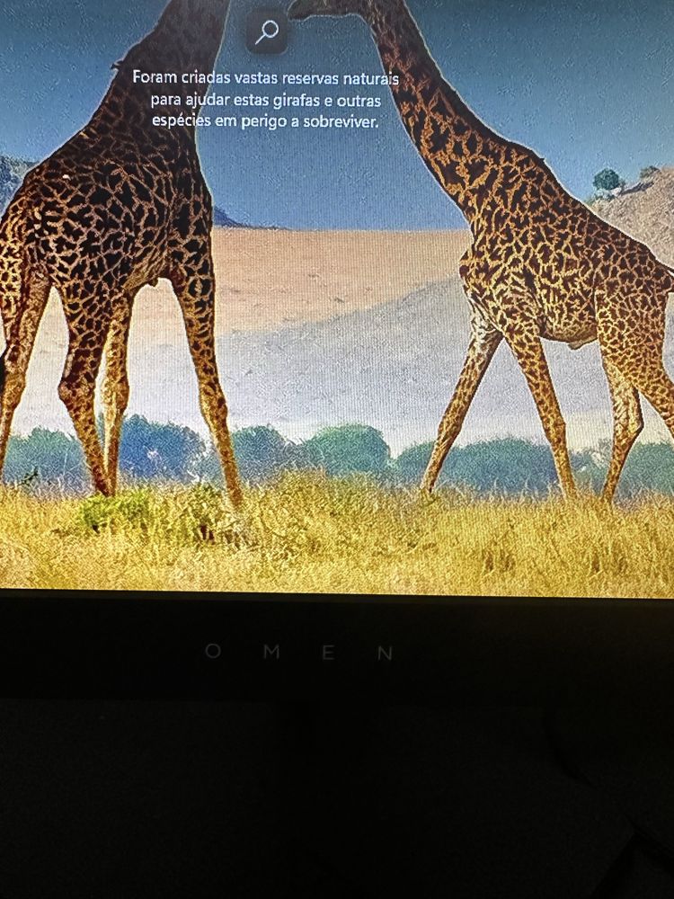 Monitor Omen 144hz