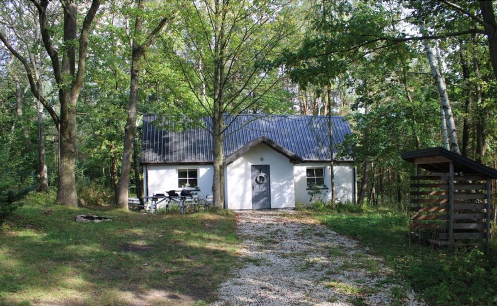 Dom w lesie | działka 2700 m2 | Osieczek - Pniewy