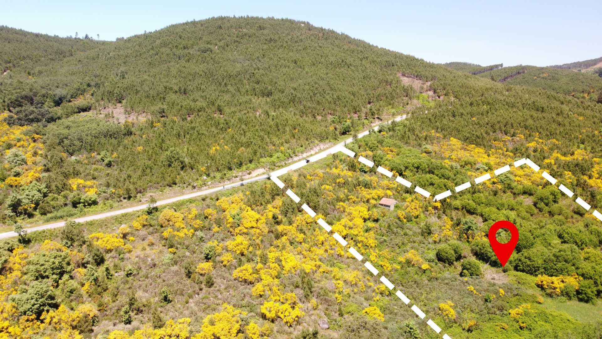 Terreno em Fornos de Algodres