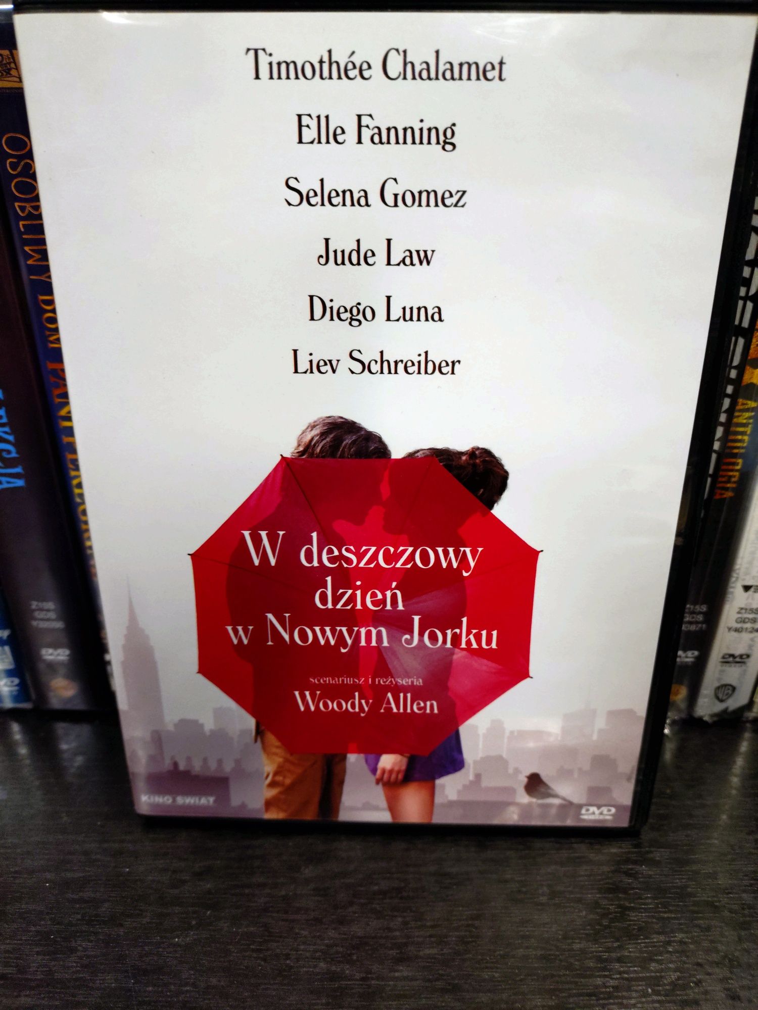 W deszczowy dzień w Nowym Jorku DVD
