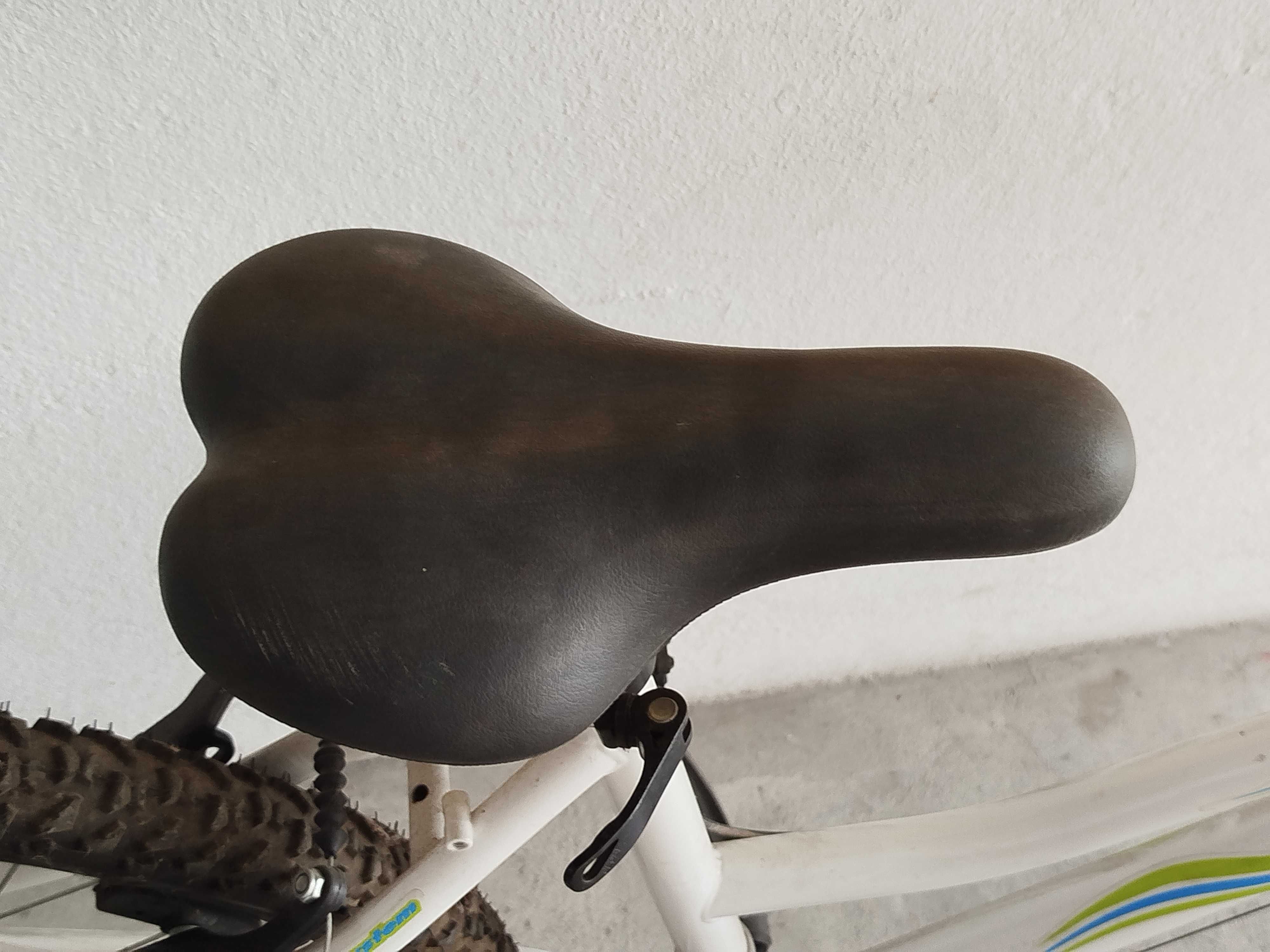 Bicicleta de senhora