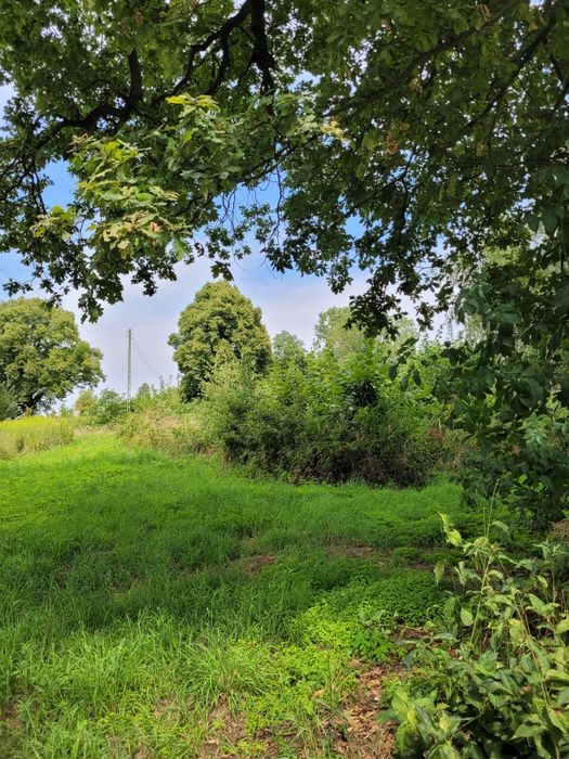 Działki  rolno budowlane dom do remontu, siedlisko, ranczo