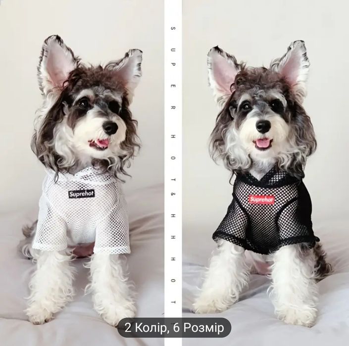 Нова літня кофта-сітка для собаки розмір S