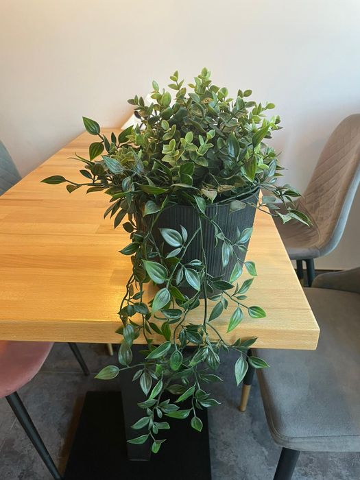 kompozycja w doniczce z uchwytem do ściany