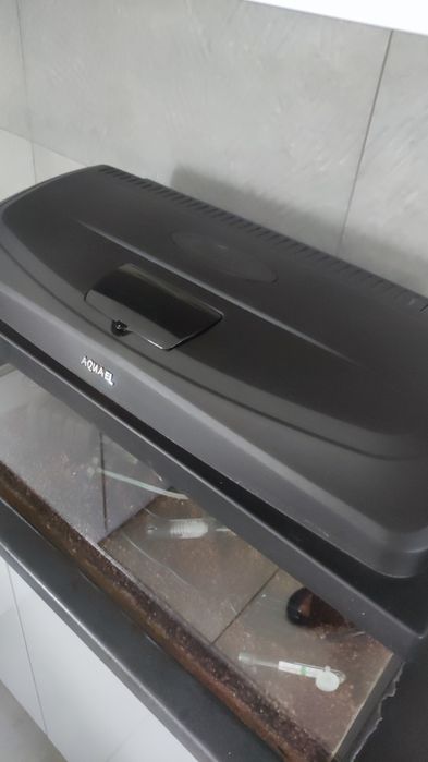 Akwarium 60l+wyposażenie