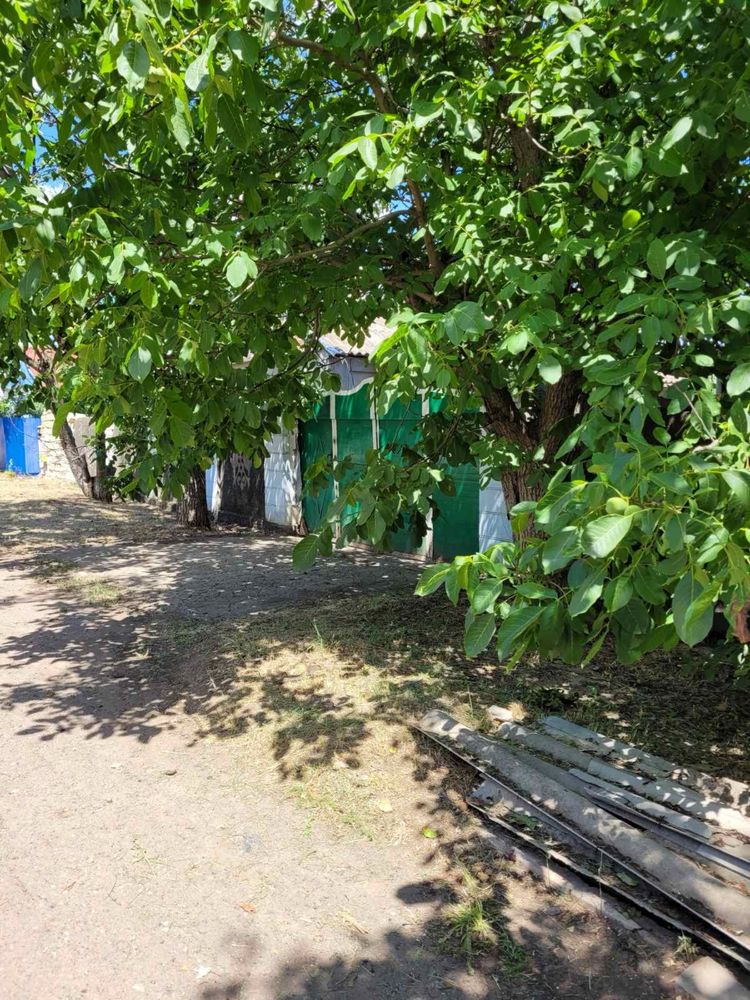 Дім Снігурівка птахофабрика