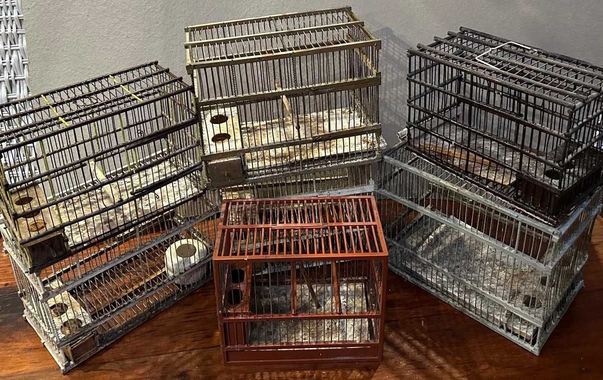 Gaiolas antigas, em madeira e arame decorativas