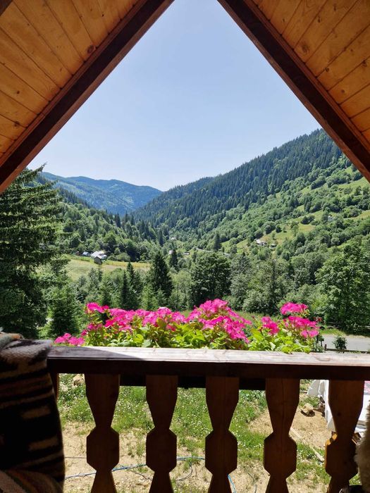 Відпочинок в Карпатах. Садиба Ековид та інстабудиночок Ekovyd Haus