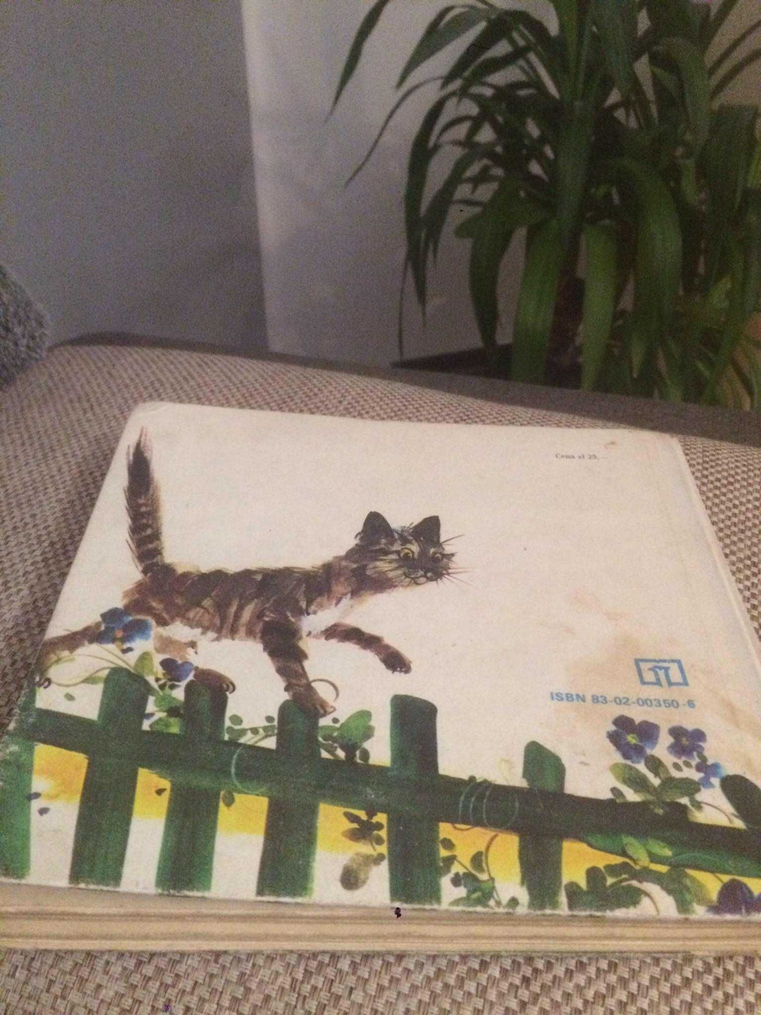 Elementarz Falskich - Wydanie pamiątkowe kolekcjonerskie 1981r.