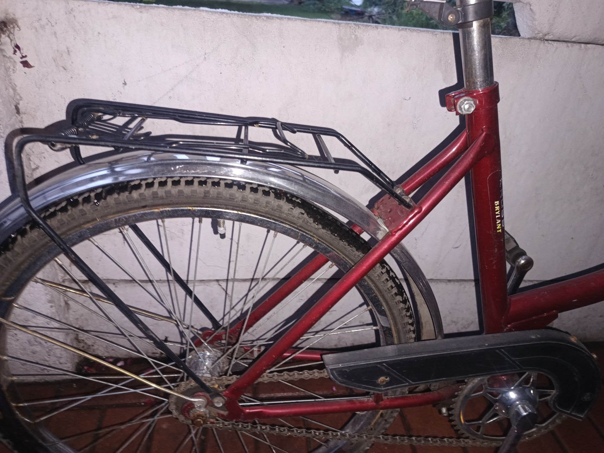Rower Brylant 24''