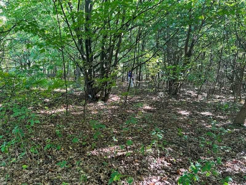 Продаж ділянки 0,98га м. Чернівці вул. Смерекова