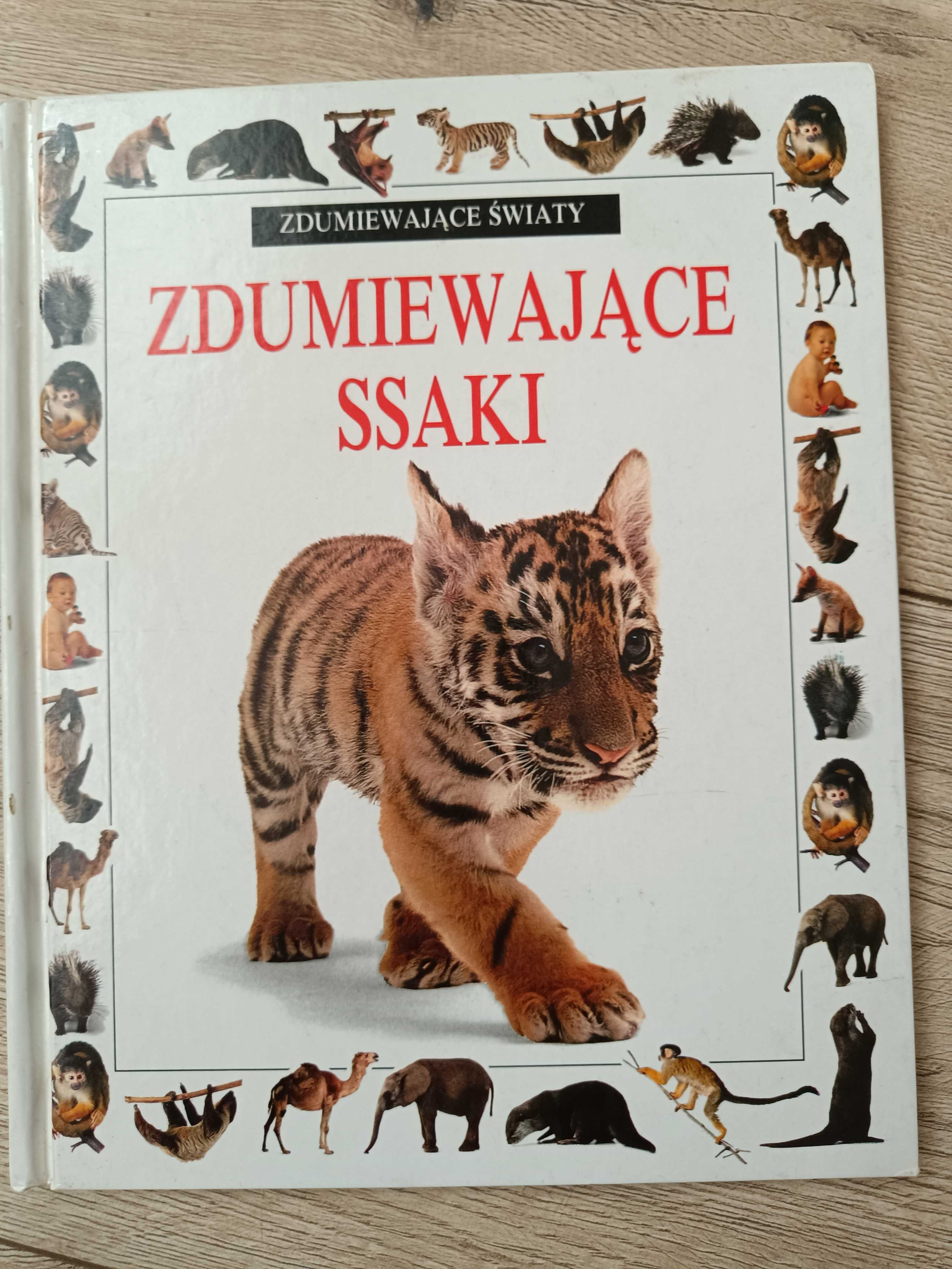 "Zdumiewajace pająki,ssaki,motyle" Seria Alexandra Parsons,Jerry Young