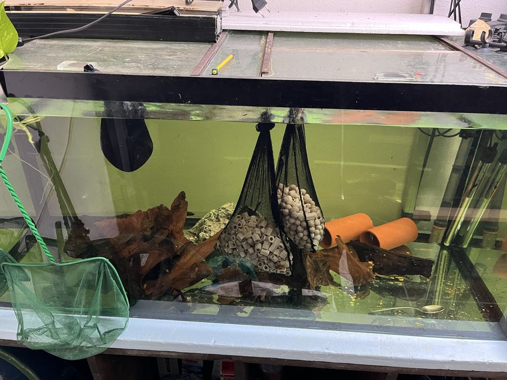 Aquarios desde 100€