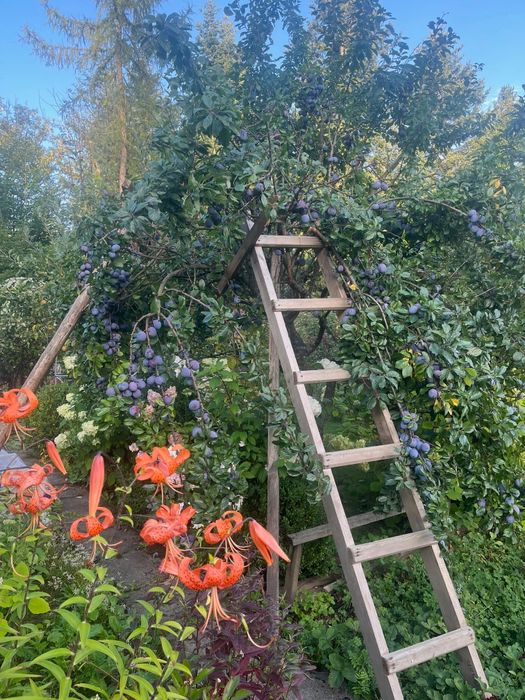 Działka rekreacyjna Zakopane-Kościelisko