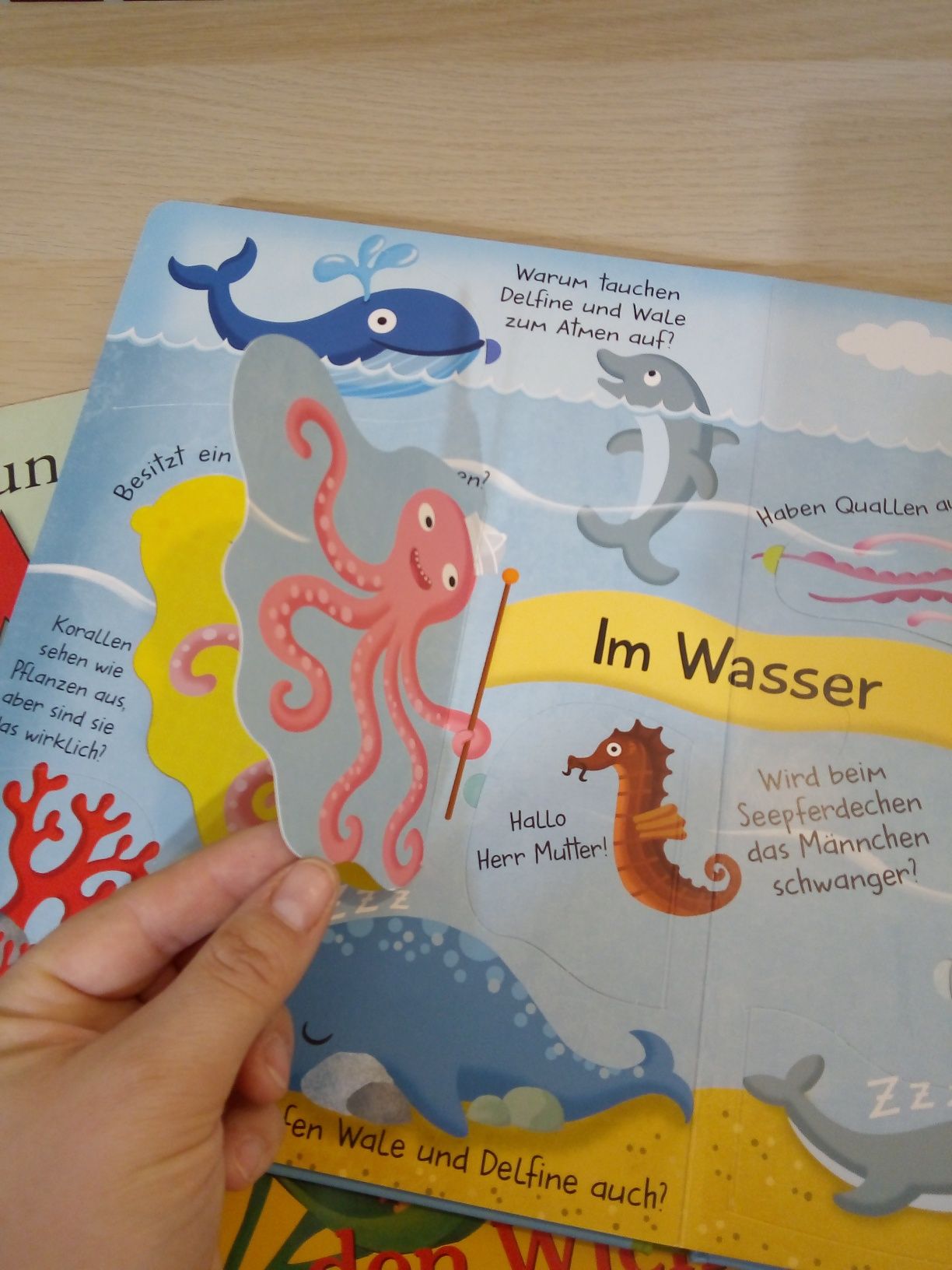Zestaw 3 książek książeczek dla dzieci w języku niemieckim,