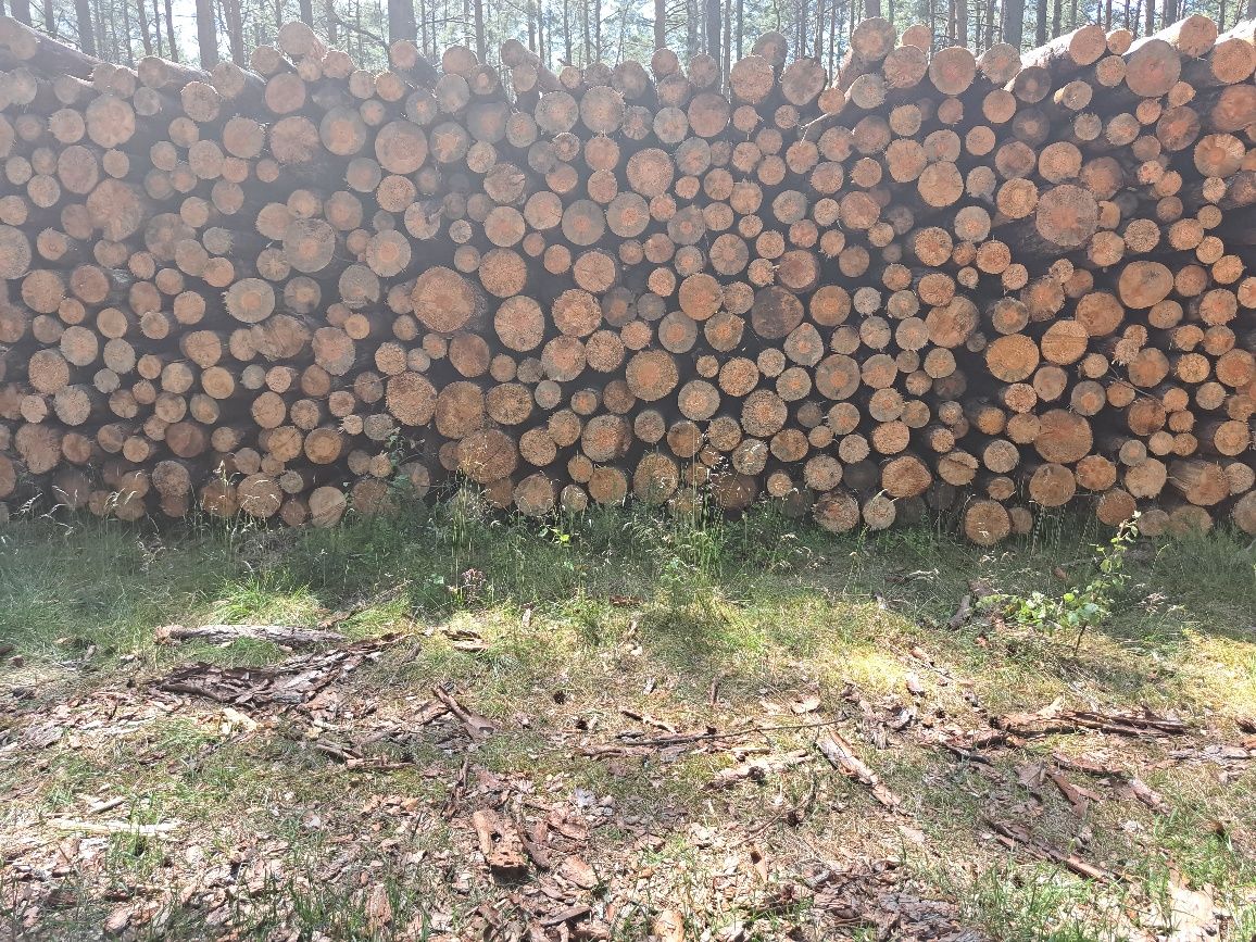 Sprzedam drewno opalowe