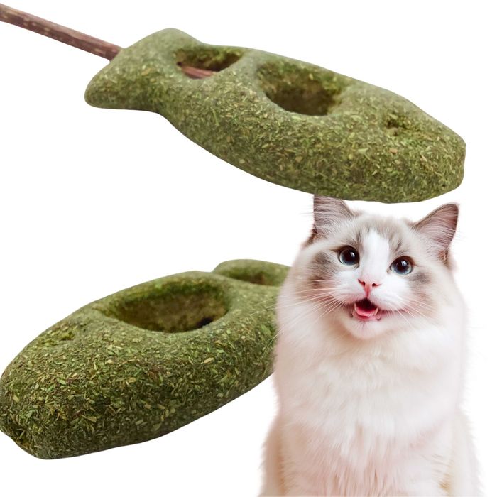 Rybka Matatabi dla Kota - Naturalna Zabawka Czyszcząca Kamień Nazębny