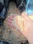Wióra troty kora pellet