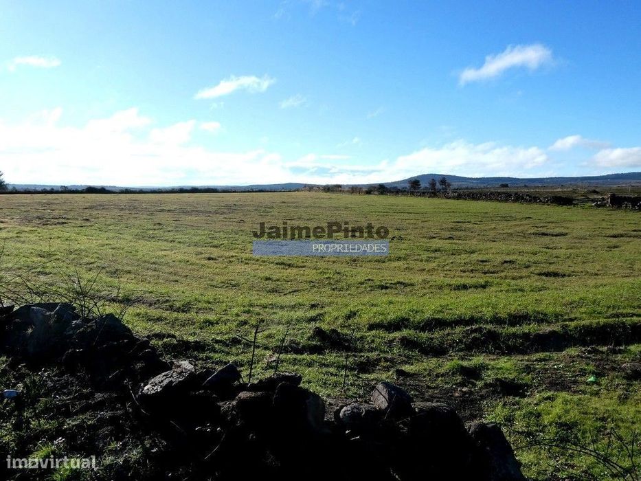 Terrenos rústicos 115.000m2, Escalhão. Portugal, Guarda, F. C. Rodr...