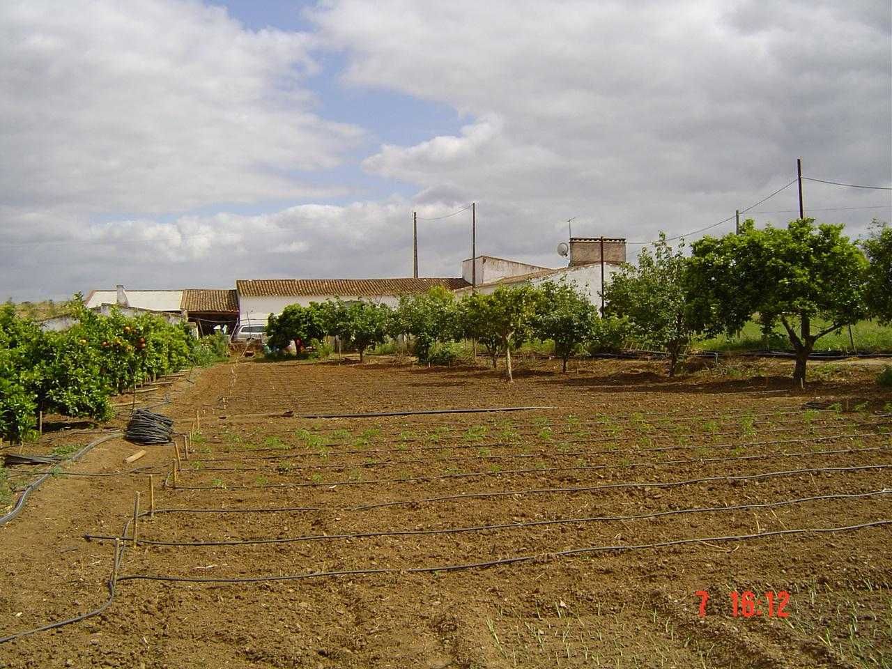 Monte Alentejano