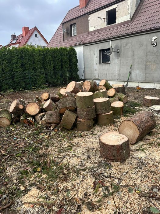Drewno świerk ok 4mp