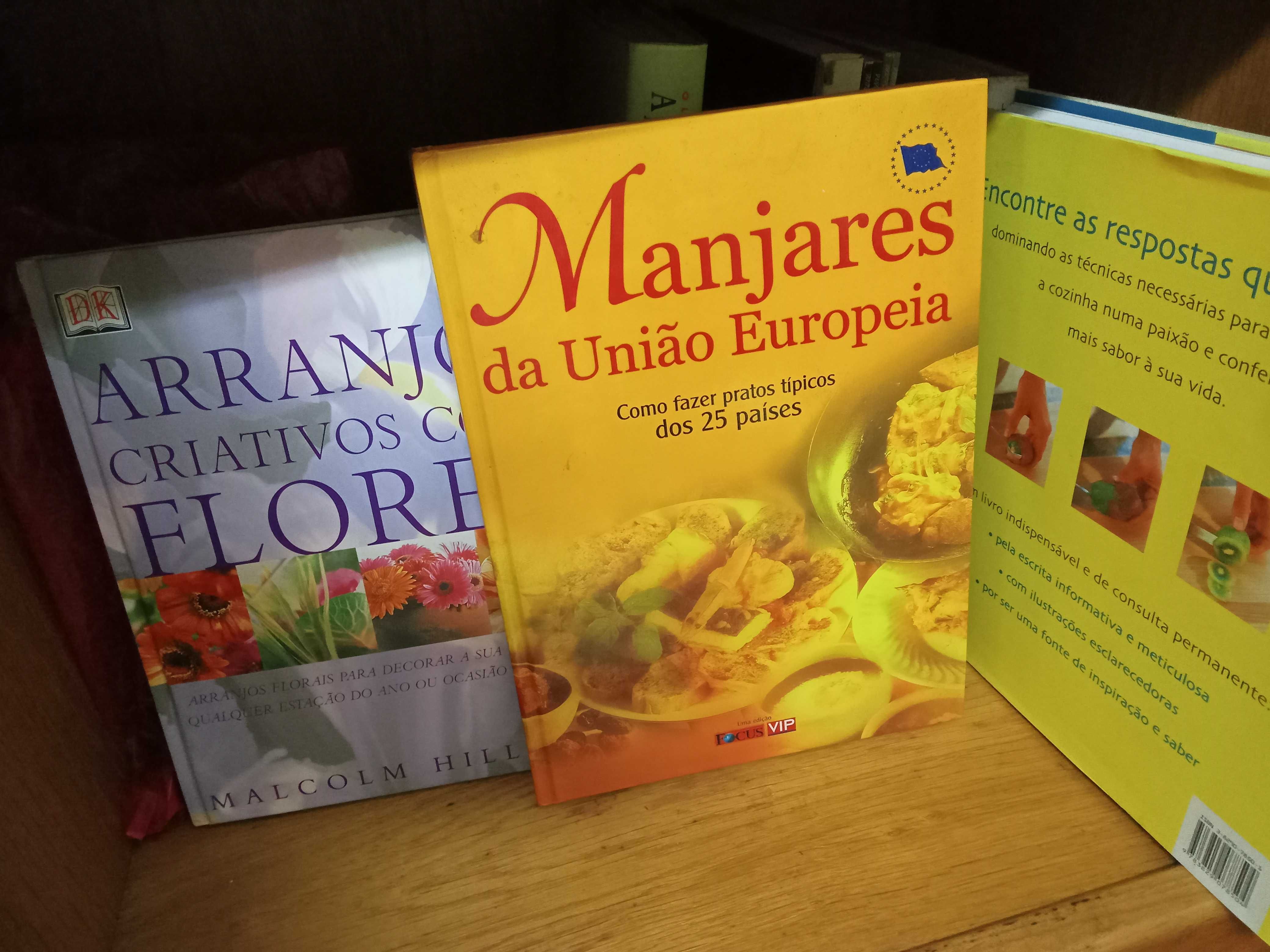 Acervo de cerca de 300 Livros de Culinária