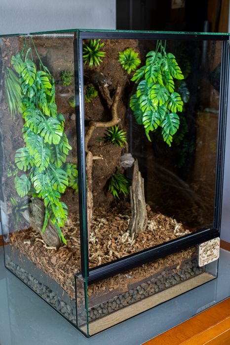 Terrarium 45x45x60 dla gekona orzesionego