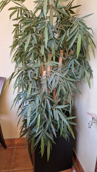 Planta artificial - Bambu - OFERTA DE VASO