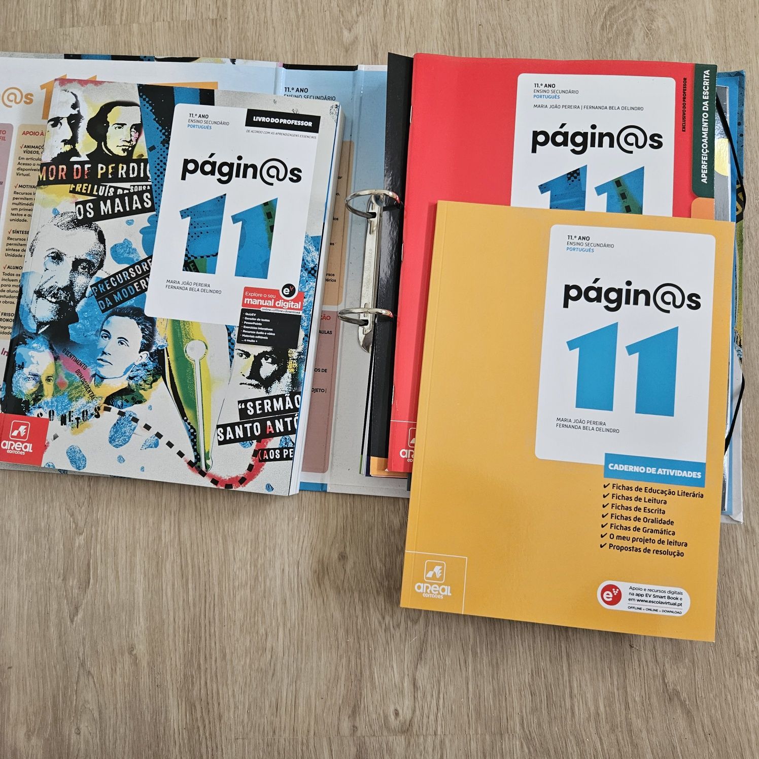 Dossiê do Professor Páginas 11