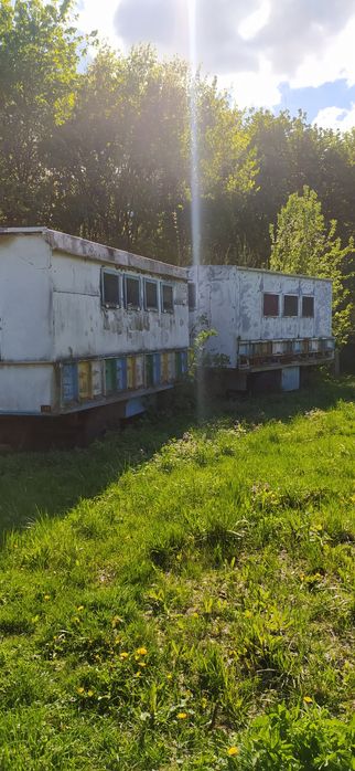 Продам бджолопакети