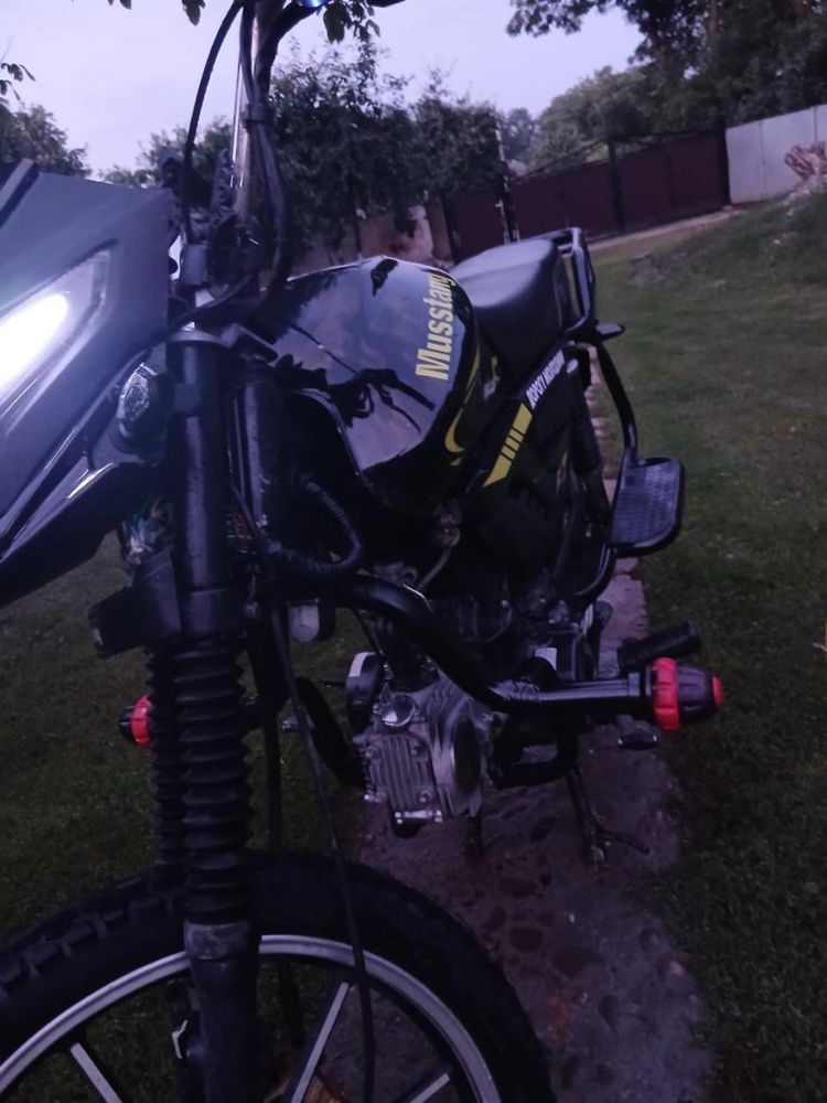 Musstang-Fitt…125